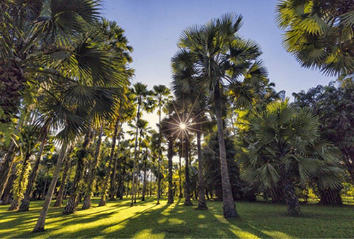 1688715385126263.jpg 1688715385126263.jpg