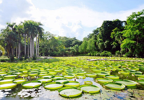 1688715394410867.jpg 1688715394410867.jpg