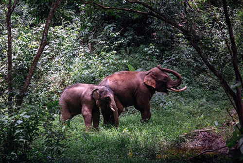 1688715402293734.jpg 1688715402293734.jpg